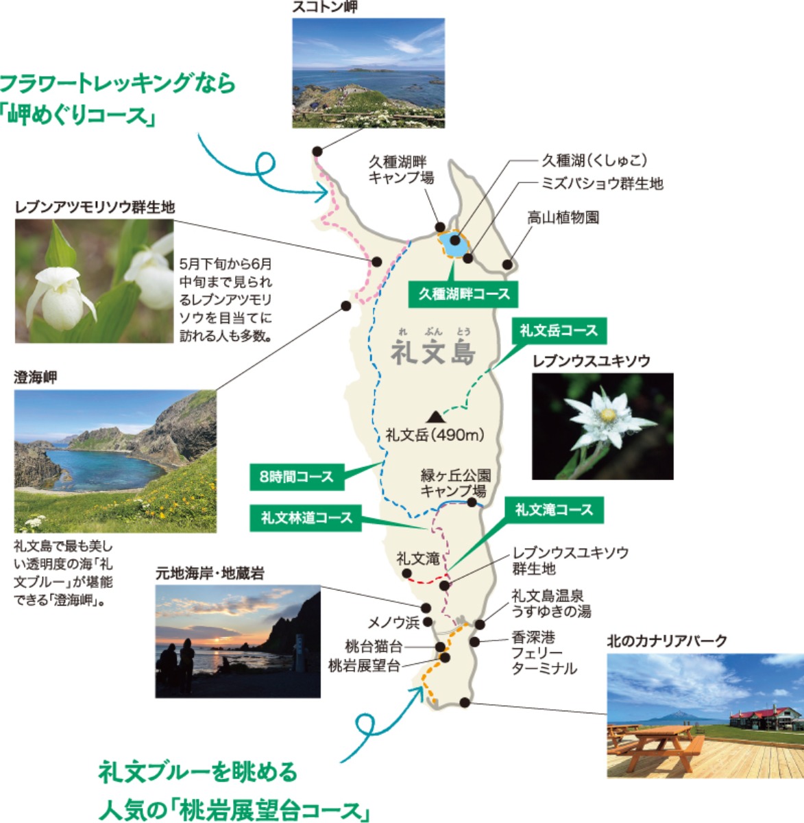 花の浮島・礼文島を歩く、絶景旅!~7つのトレッキングコース