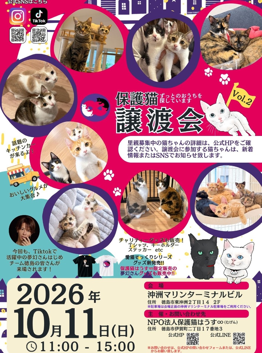 【徳島イベント情報2026】10/11｜保護猫譲渡会 Vol.2