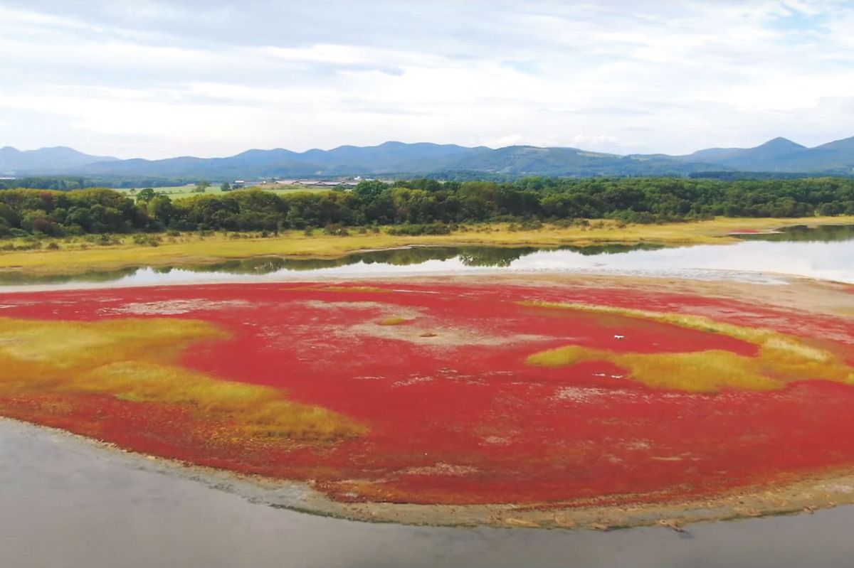 流氷のまち「紋別」で、豊かな自然と食を楽しむ -紋別市-|北海道大人の旅ガイド2025