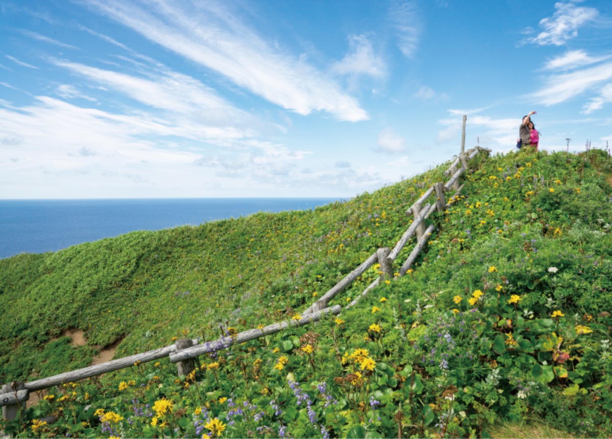 北海道移住案内2026・春｜礼文町　離島の魅力！海や山、自然と共に生きるを体感