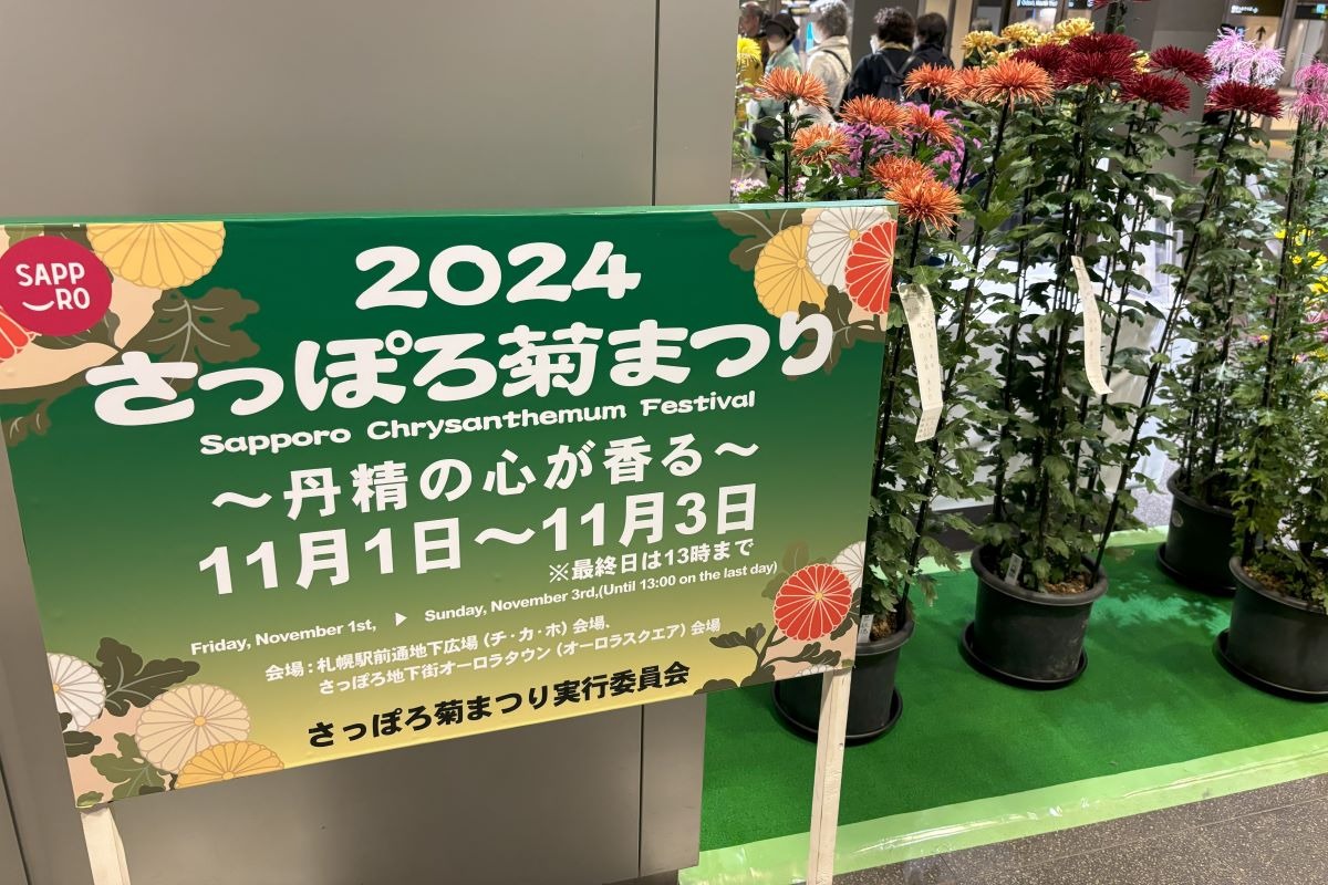 11月3日まで札幌チカホが菊の花で彩り豊か！ぜひお立ち寄りを