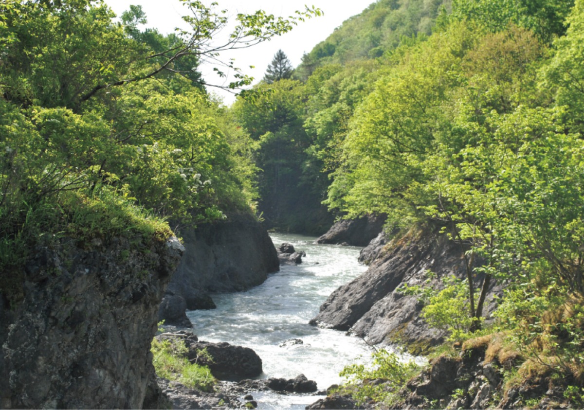 春から夏のオホーツク案内｜滝上町　すべての人が安心して楽しめる、 ユニバーサル観光を目指すまち