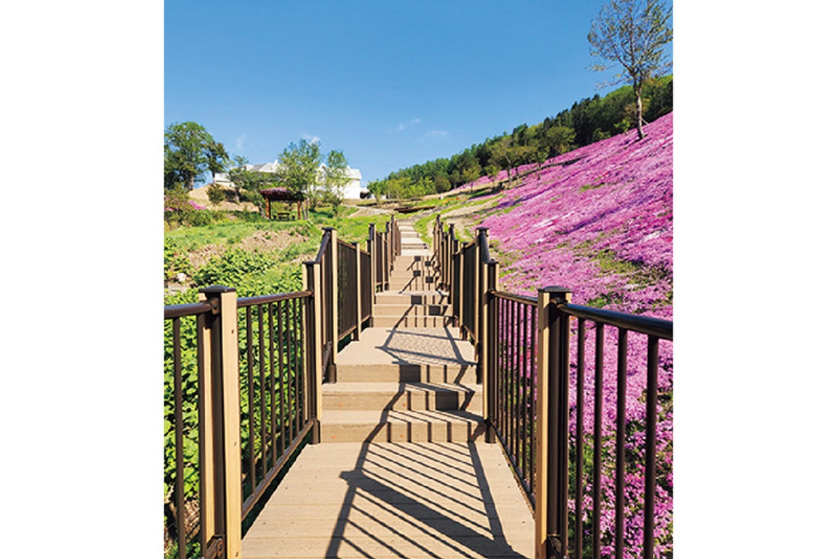 春から夏のオホーツク案内｜滝上町　すべての人が安心して楽しめる、 ユニバーサル観光を目指すまち