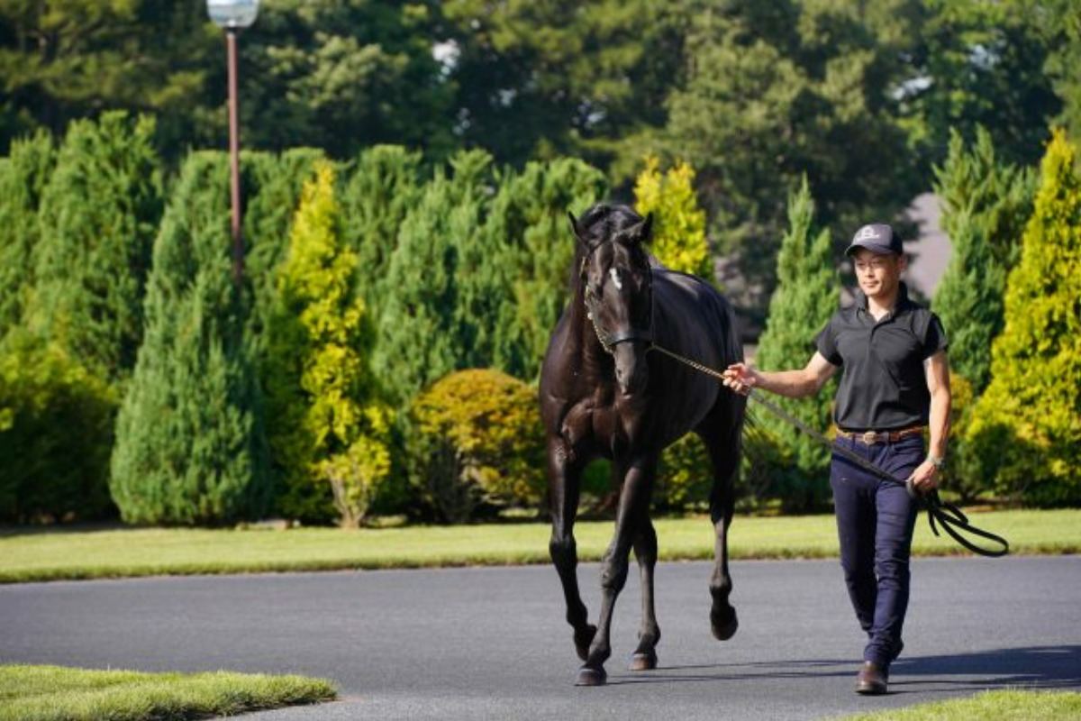 募集｜種牡馬たちを間近に！人気の‟社台スタリオン”バスツアー開催