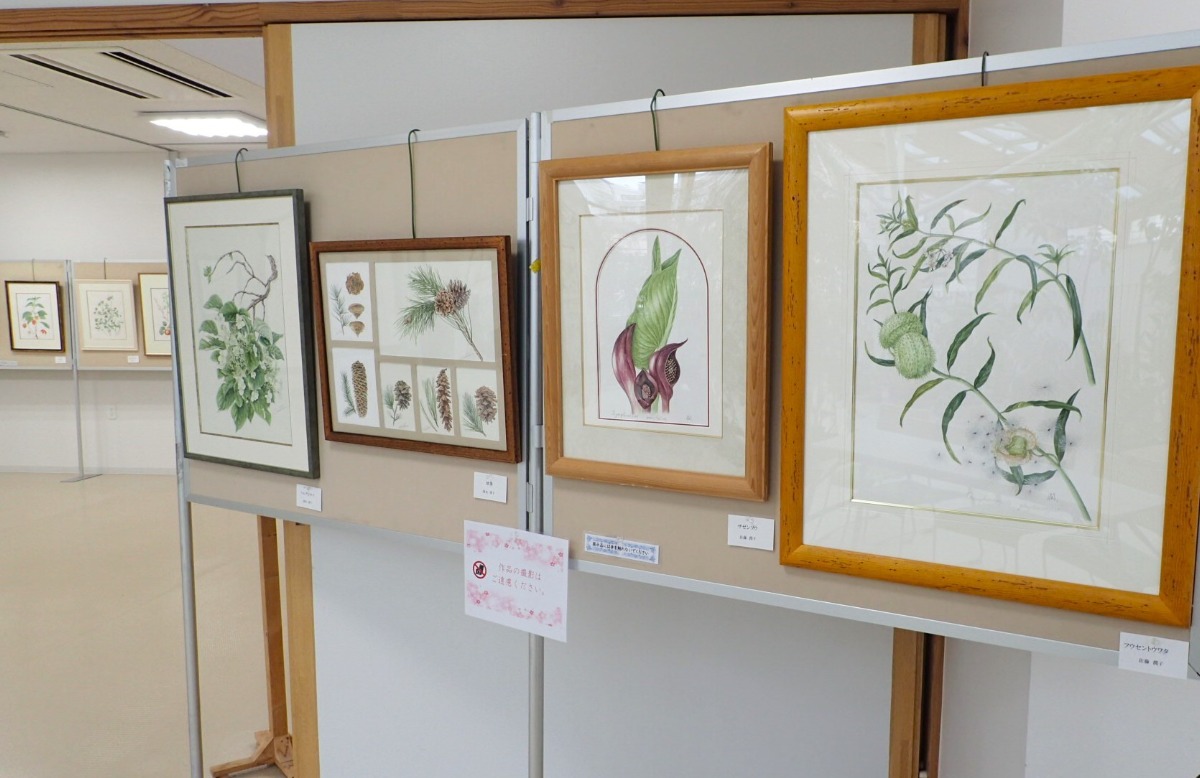 札幌｜緻密な植物画「ボタニカルアート展」が豊平公園で3月19日より