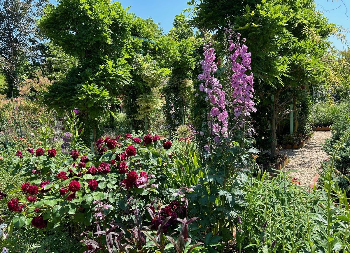 北海道の庭｜今週の花　浜名湖花博で出会ったガーデン風景