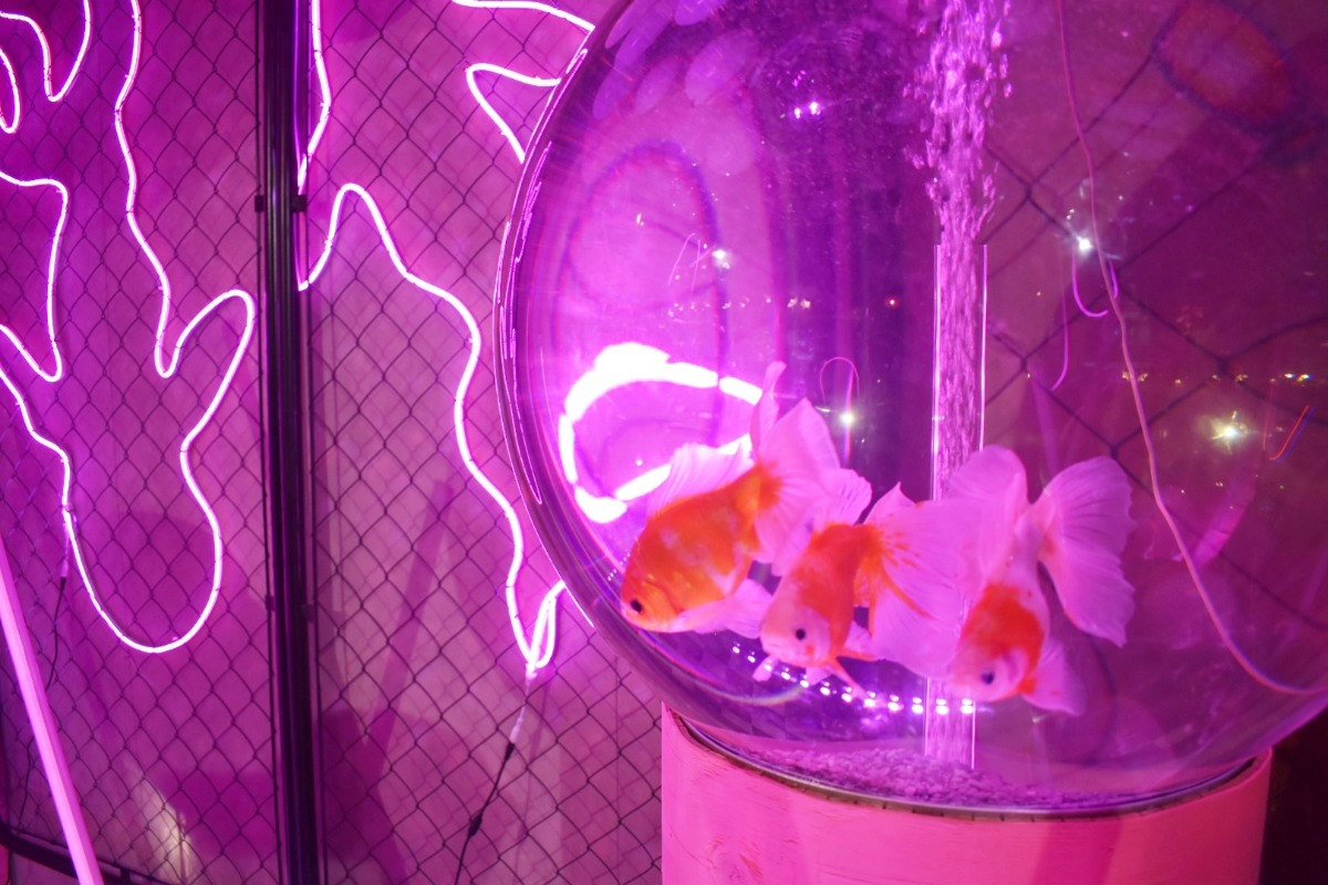 【GW雨でもOK!】家族みんなで楽しめる!奈良の屋内お出かけスポット7選