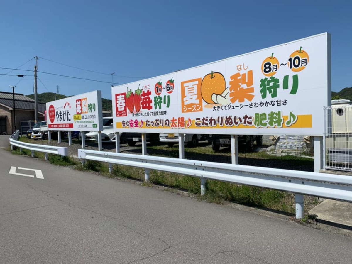 【徳島おでかけ】秋冬の味覚狩り・おすすめ5選/ぶどう狩り/梨狩り/みかん狩り/きのこ狩り|レジャー|体験|2025最新