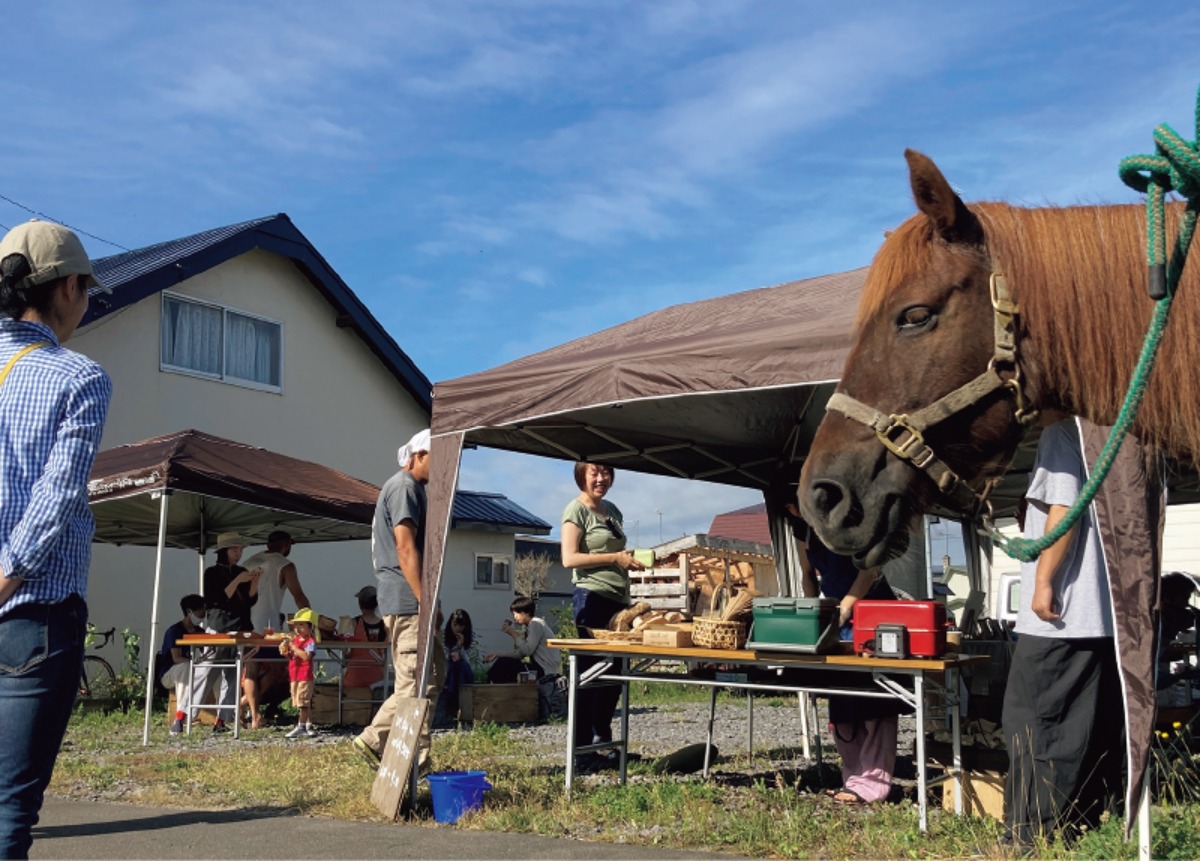 北海道移住・秋|下川町 森林資源の豊かなまち。移住者交流会なども!