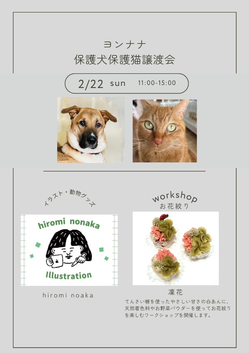 【徳島イベント情報2026】2/22｜ヨンナナ保護犬保護猫譲渡会