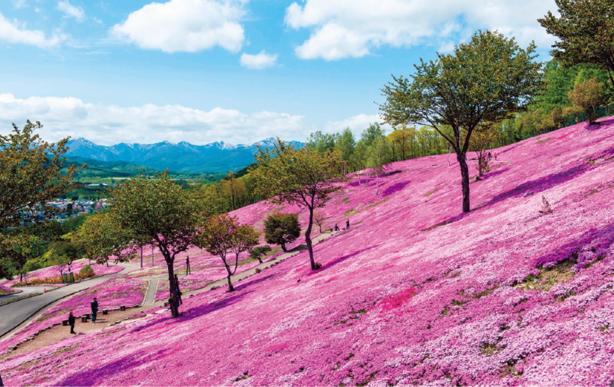春から夏のオホーツク案内｜滝上町　すべての人が安心して楽しめる、 ユニバーサル観光を目指すまち