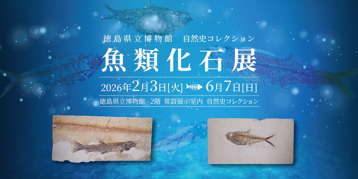 【徳島イベント情報2026】徳島県立博物館【4月】