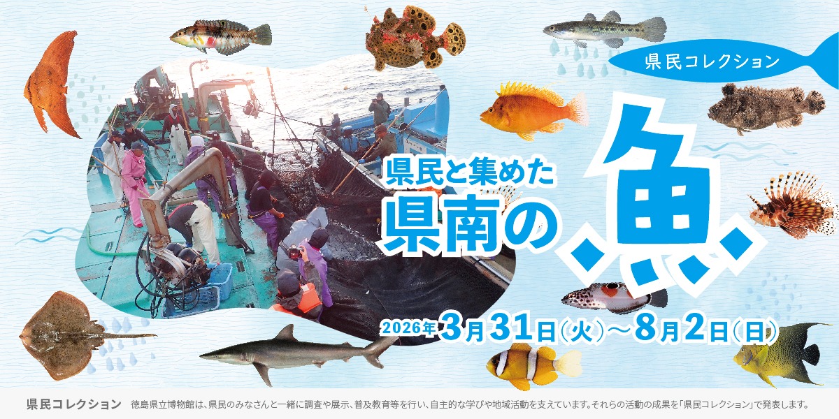 【徳島イベント情報2026】徳島県立博物館【5月】