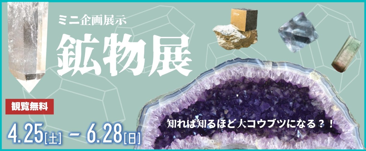 【徳島イベント情報2026】阿南市科学センター【6月】