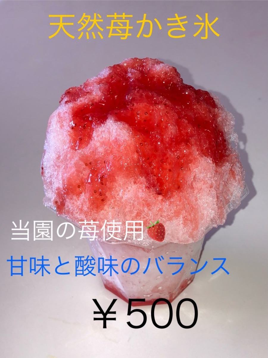徳島のキッチンカー情報まとめ2025【おすすめメニュー・出店場所も掲載】