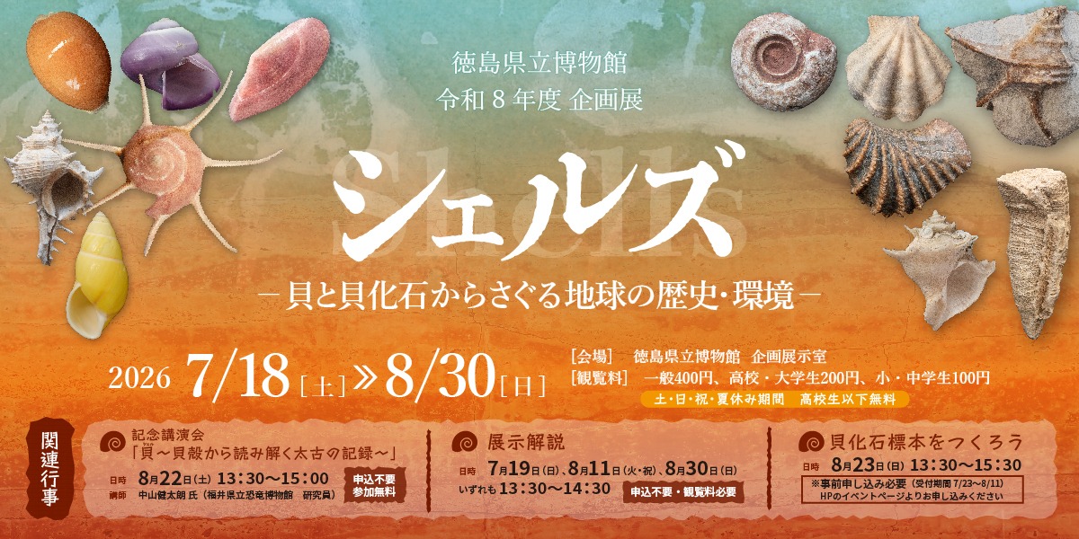【徳島イベント情報2026】徳島県立博物館【8月】