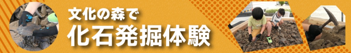 【徳島イベント情報2026】徳島県立博物館【8月】
