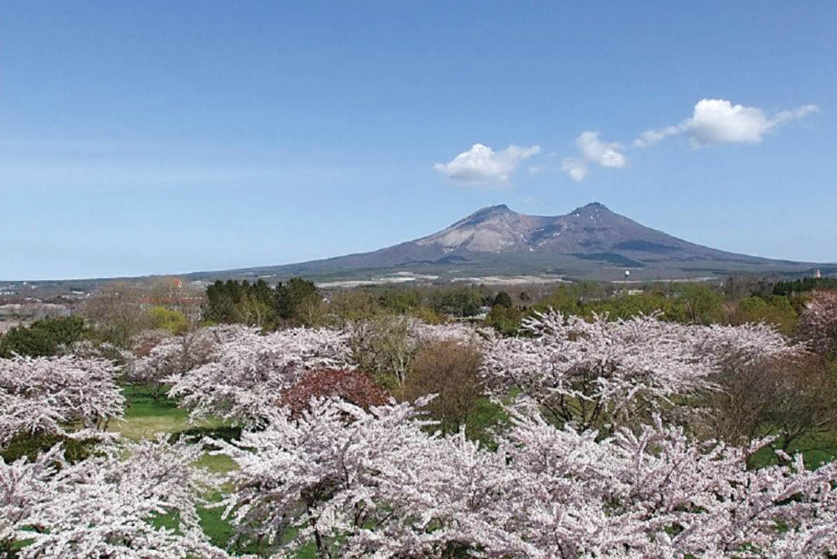 南北海道から北東北へ｜森町　貴重な史跡と多くの桜が咲き誇る、 花と歴史ロマンあふれるまち