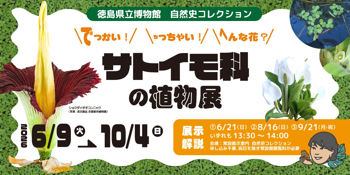 【徳島イベント情報2026】徳島県立博物館【9月】