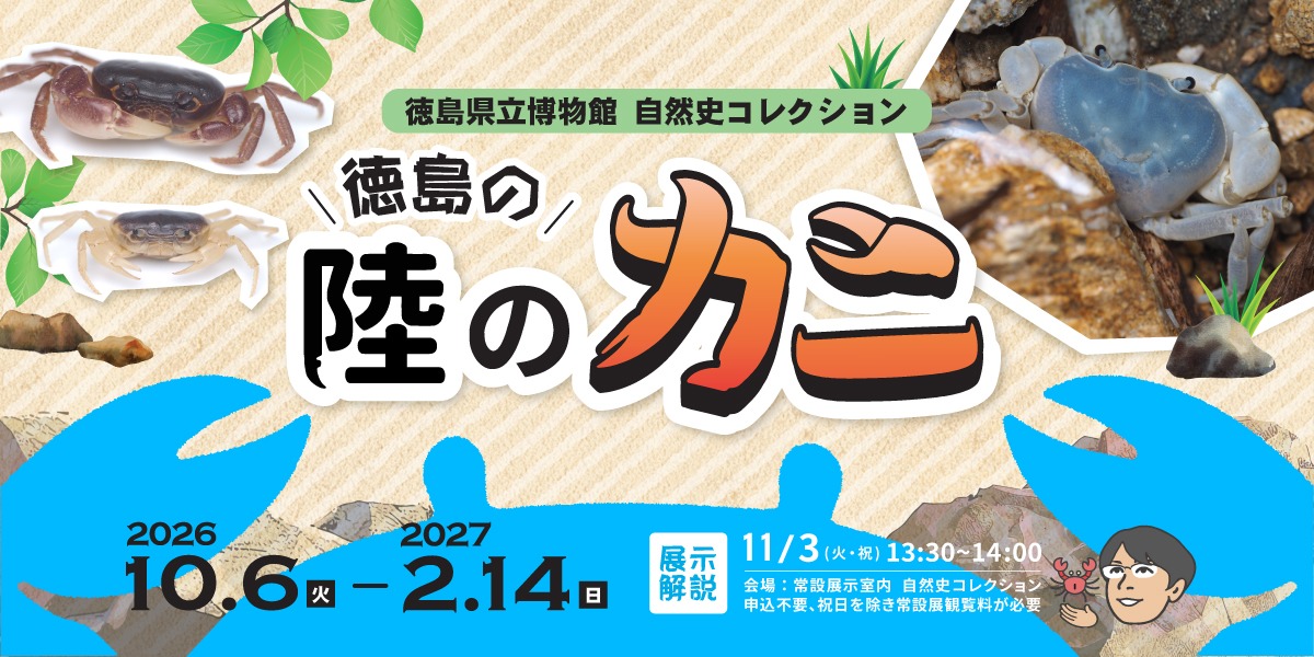 【徳島イベント情報2026】徳島県立博物館【11月】