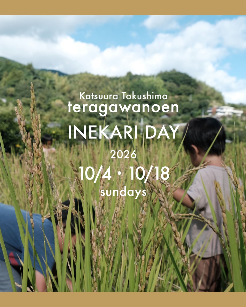 【徳島イベント情報2026】10/18｜寺川農園 稲刈りデー［要申込］