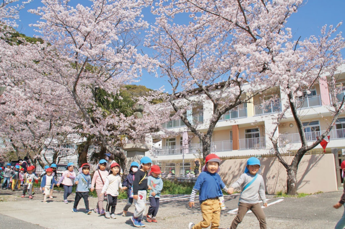 《2025年度版》徳島の私立幼稚園&認定こども園ピックアップ