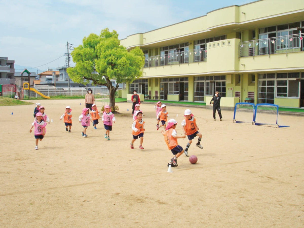 《2023年度版》徳島の私立幼稚園&認定こども園まとめ