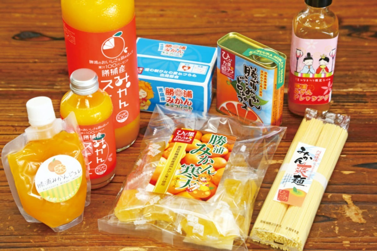 徳島の道の駅まとめ2023／産直・物産館・グルメ・お土産・ドライブの休憩に立ち寄ろう