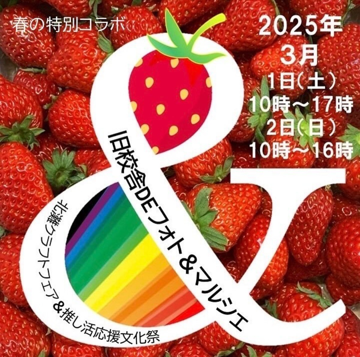 【徳島イベント情報2025】イベントピックアップ!! ～ 今週末のおでかけ情報をチェック!! ～【2025年3月1日～2025年3月7日】