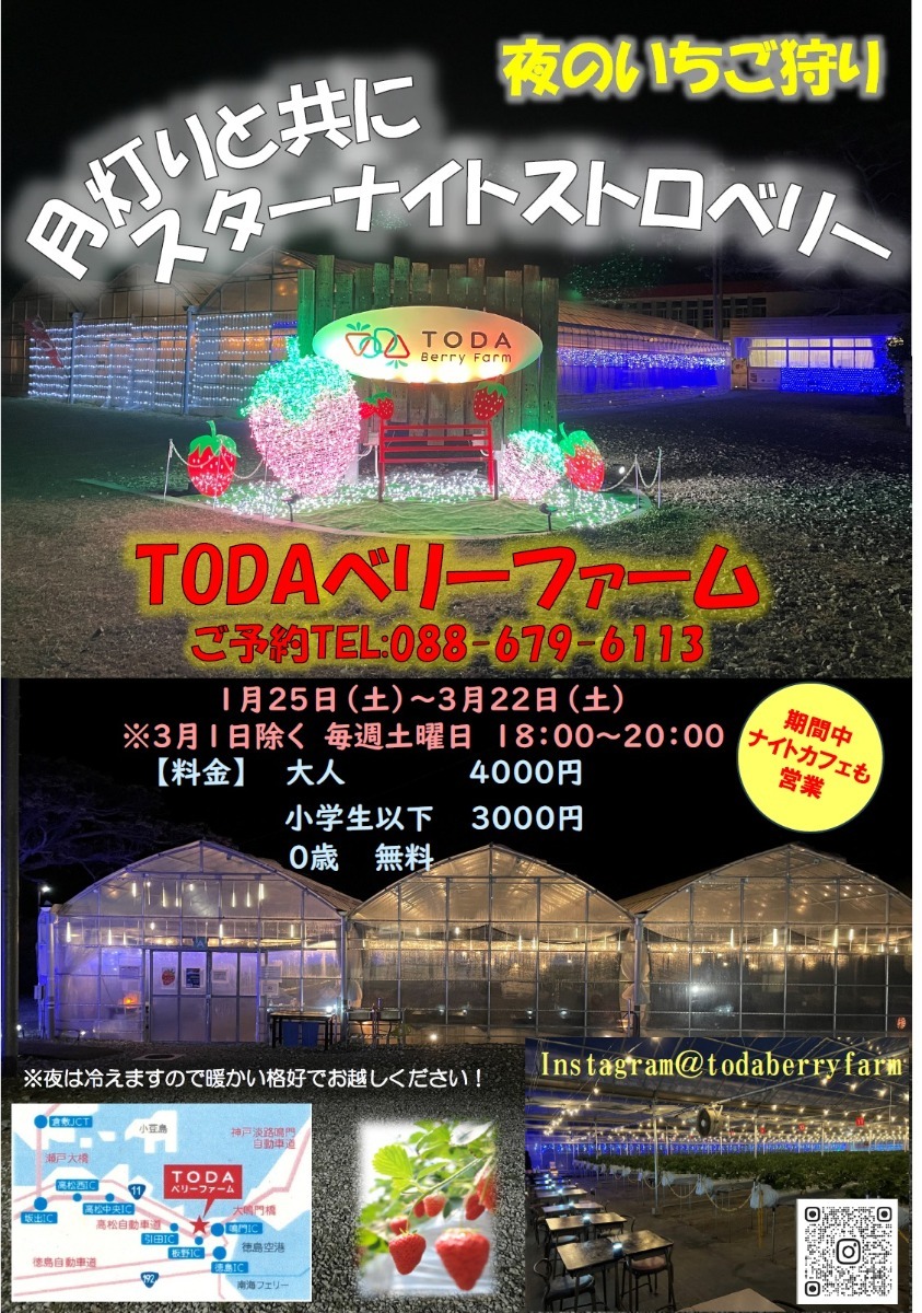 【2025最新版】徳島いちご狩りスポット・おすすめ12選！家族のおでかけ＆レジャーにぴったり