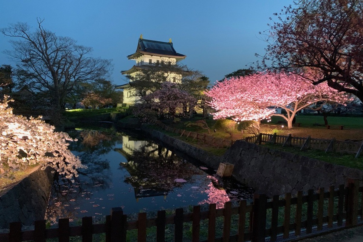 2025 北海道のお花見・桜の名所 ①|函館エリア