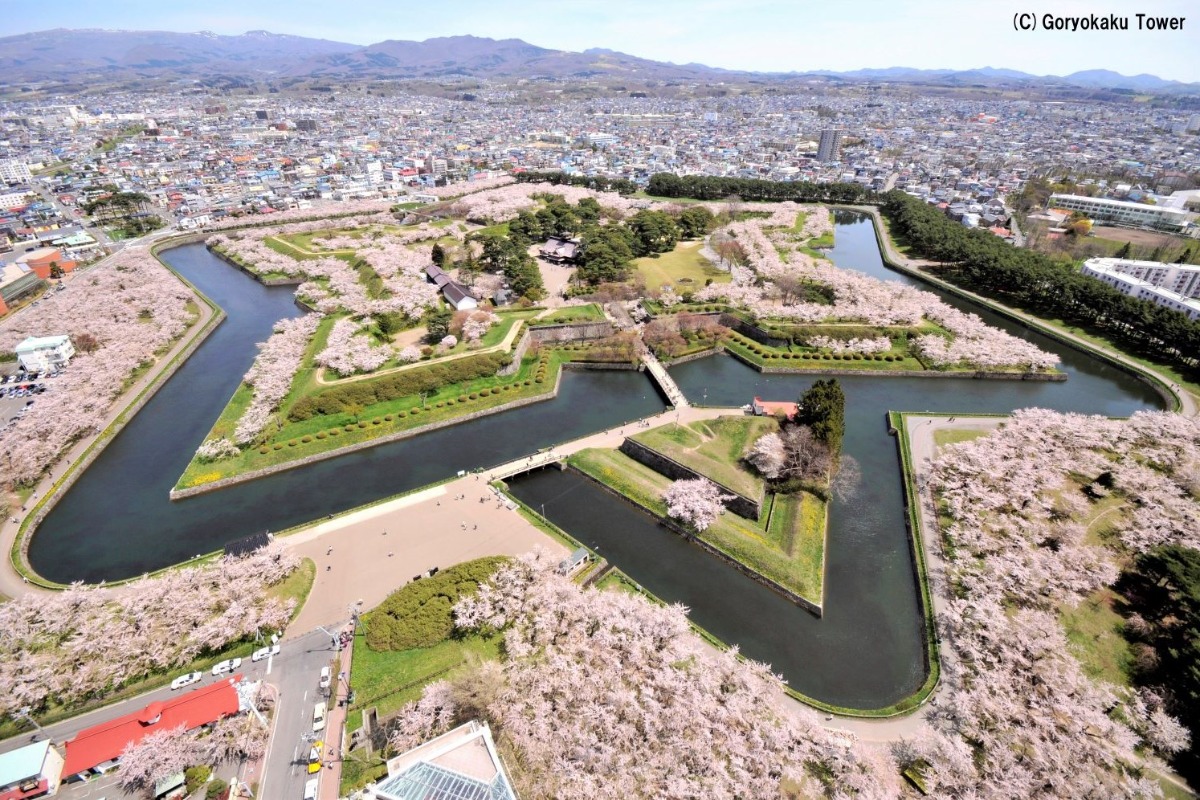 2025 北海道のお花見・桜の名所 ①|函館エリア