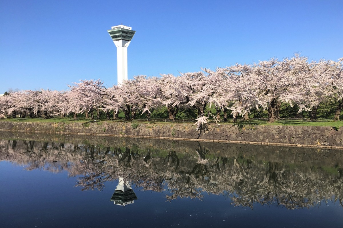 2025 北海道のお花見・桜の名所 ①|函館エリア