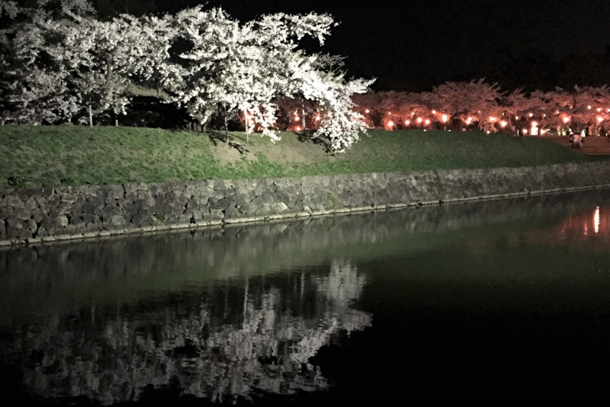 2025 北海道のお花見・桜の名所 ①|函館エリア