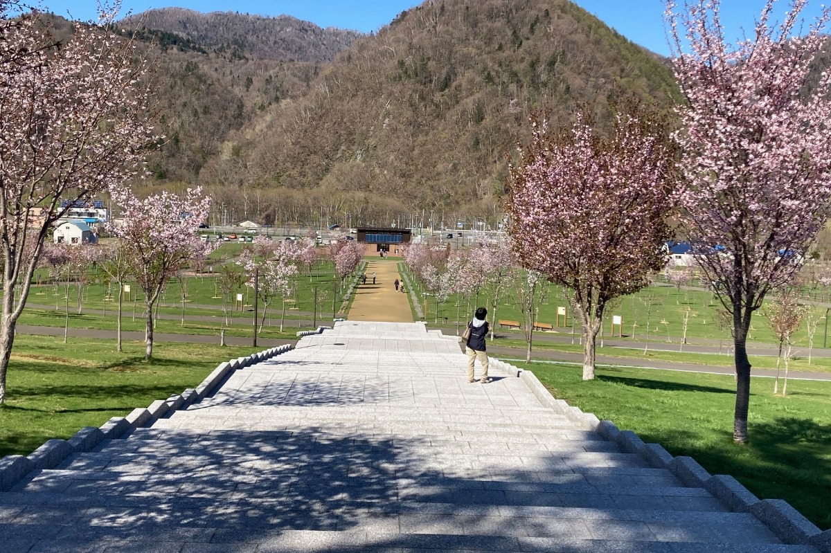 2025 北海道のお花見・桜の名所②｜札幌エリア