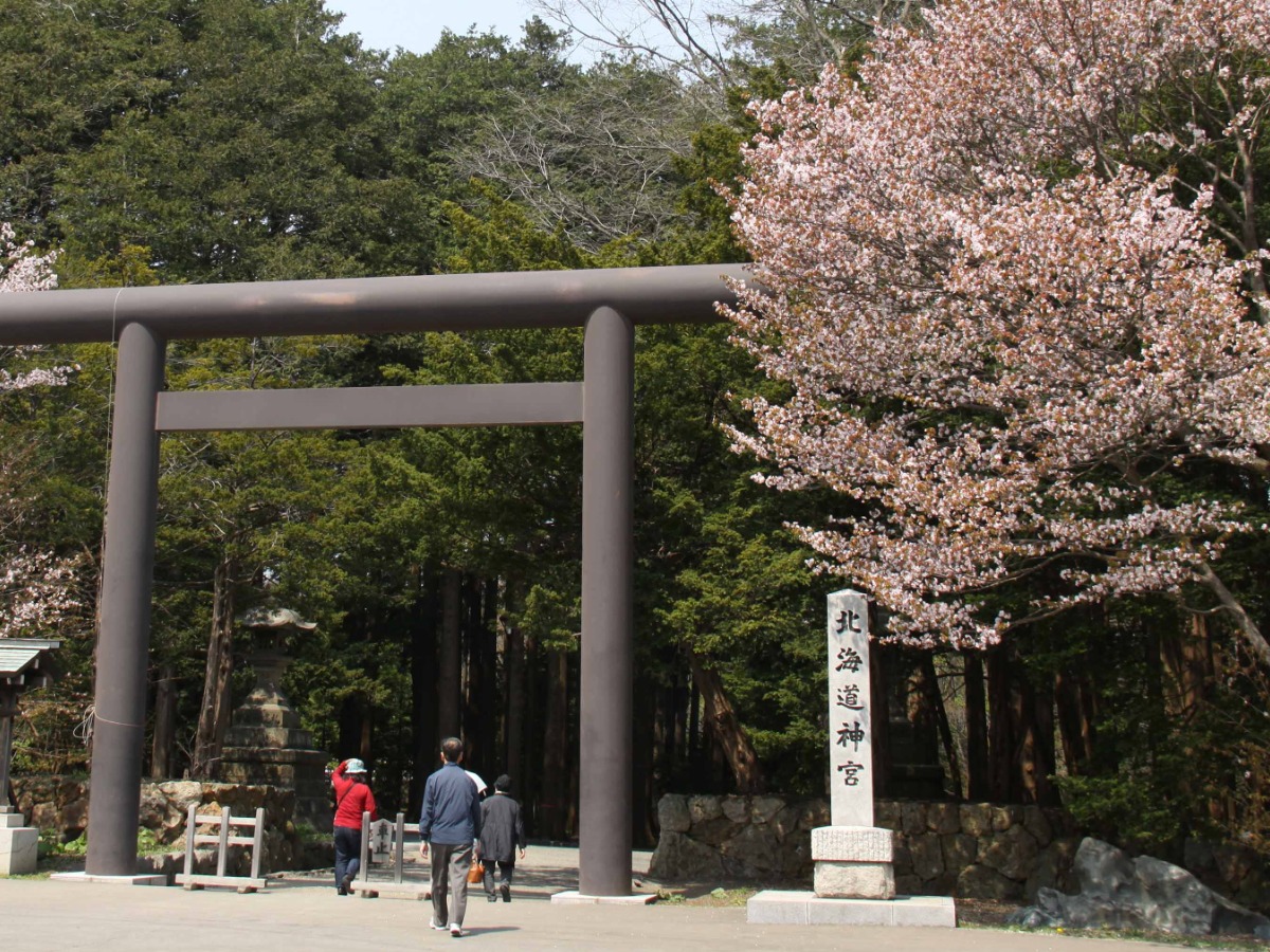 2025 北海道のお花見・桜の名所②｜札幌エリア