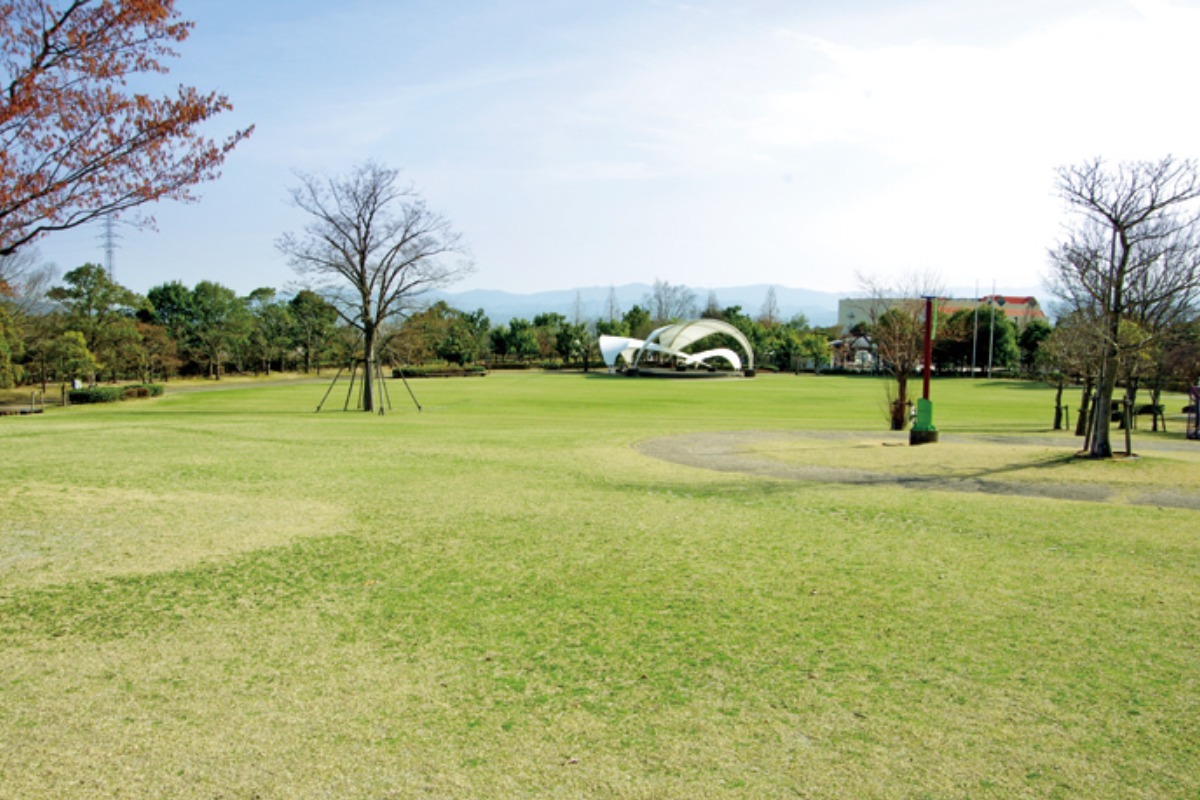 【2025年最新版】徳島のお花見スポット・桜の名所34選