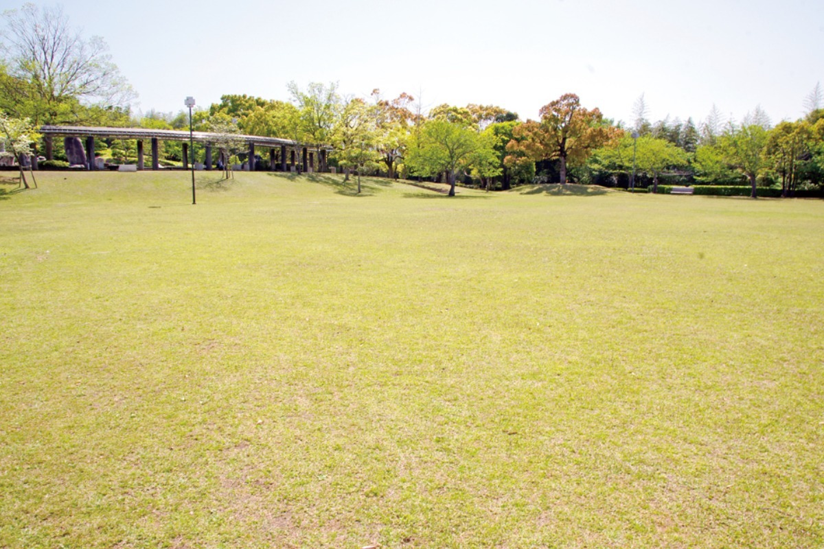 【2025年最新版】徳島のお花見スポット・桜の名所34選