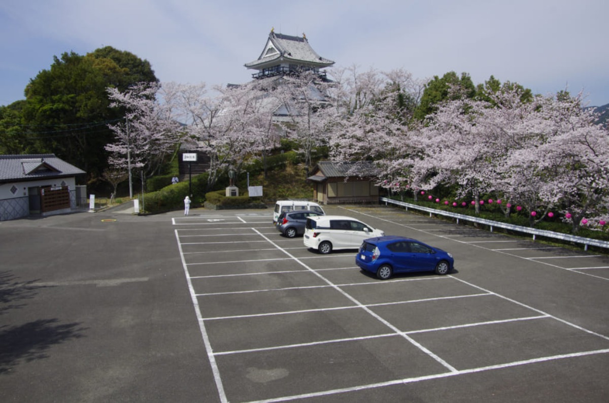 【2025年最新版】徳島のお花見スポット・桜の名所34選