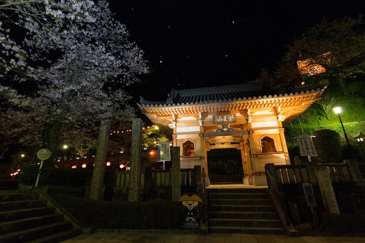 【2025年最新版】徳島のお花見スポット・桜の名所34選