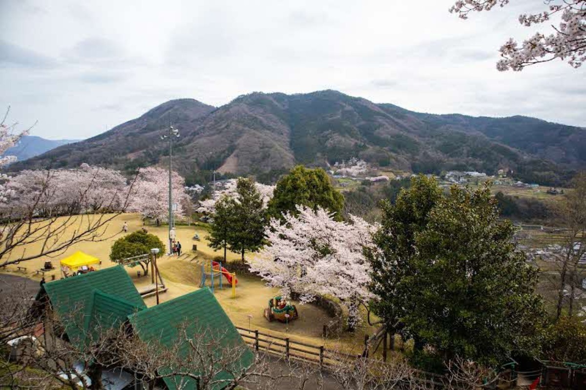 【2025年最新版】徳島のお花見スポット・桜の名所34選