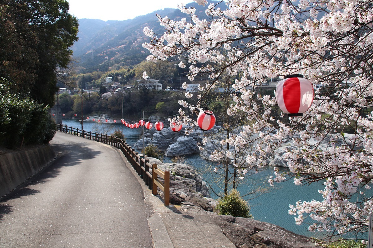 【2025年最新版】徳島のお花見スポット・桜の名所34選