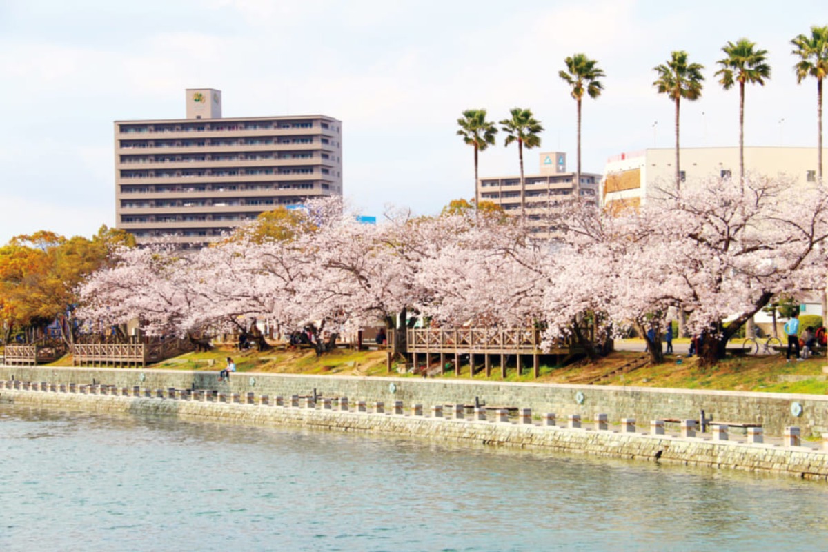 【2025年最新版】徳島のお花見スポット・桜の名所34選