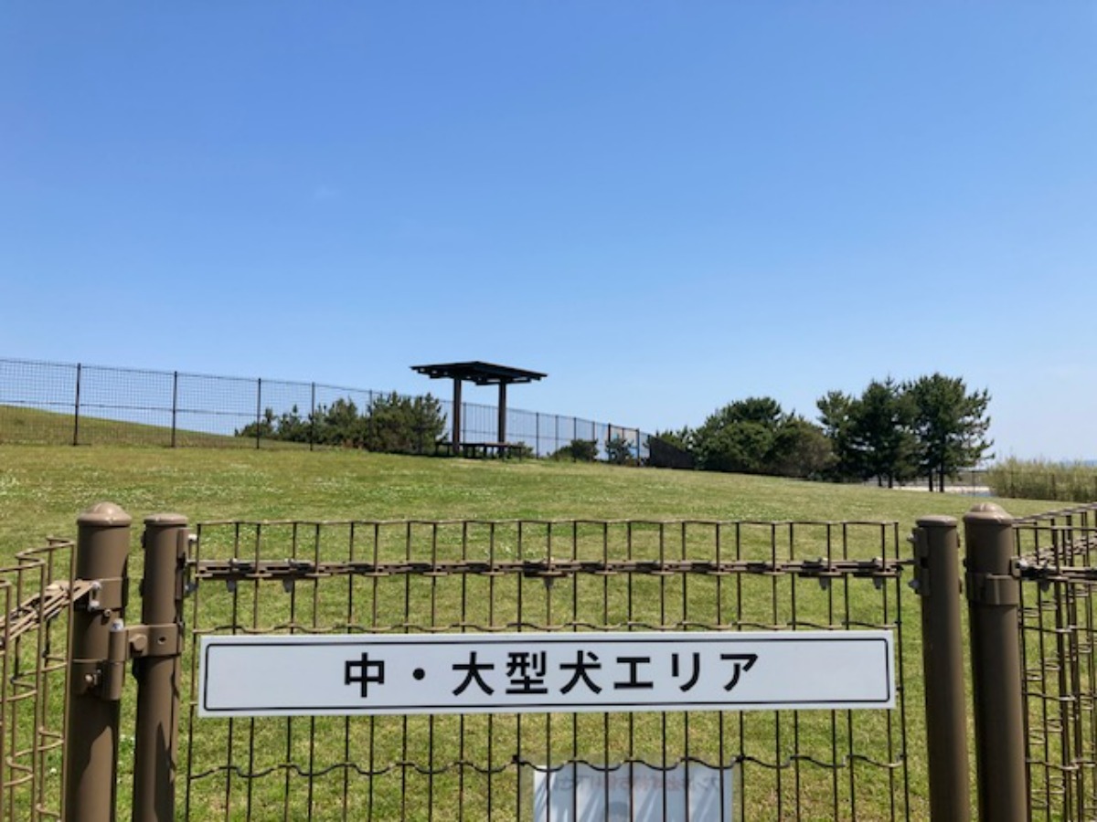 徳島のドッグラン・ドッグラン併設施設まとめ【お得なクーポンあり!わんちゃんと出かけよう♪】