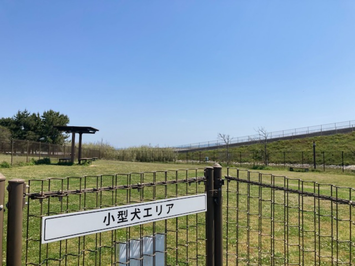 徳島のドッグラン・ドッグラン併設施設まとめ【お得なクーポンあり!わんちゃんと出かけよう♪】