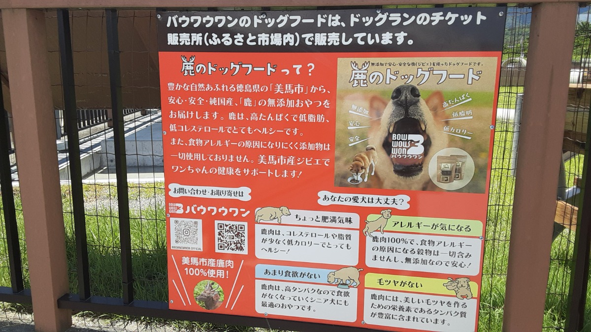 徳島のドッグラン・ドッグラン併設施設まとめ【お得なクーポンあり!わんちゃんと出かけよう♪】