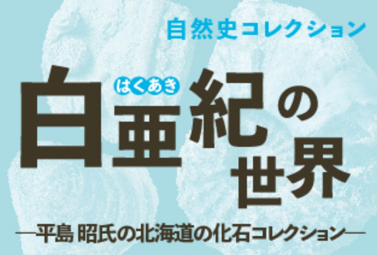 【徳島イベント情報】徳島県立博物館【10月】