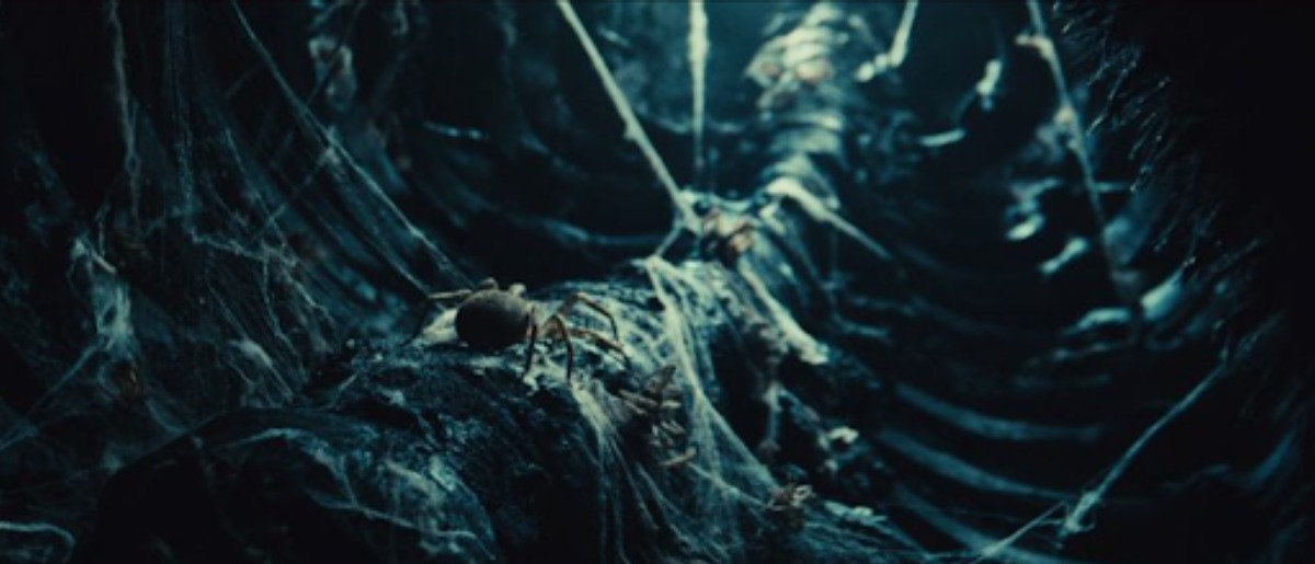 世界の映画ファンを魅了した珠玉の作品を奈良で上映。次世代が創る映画祭開催!【なら国際映画祭 for Youth 2025】
