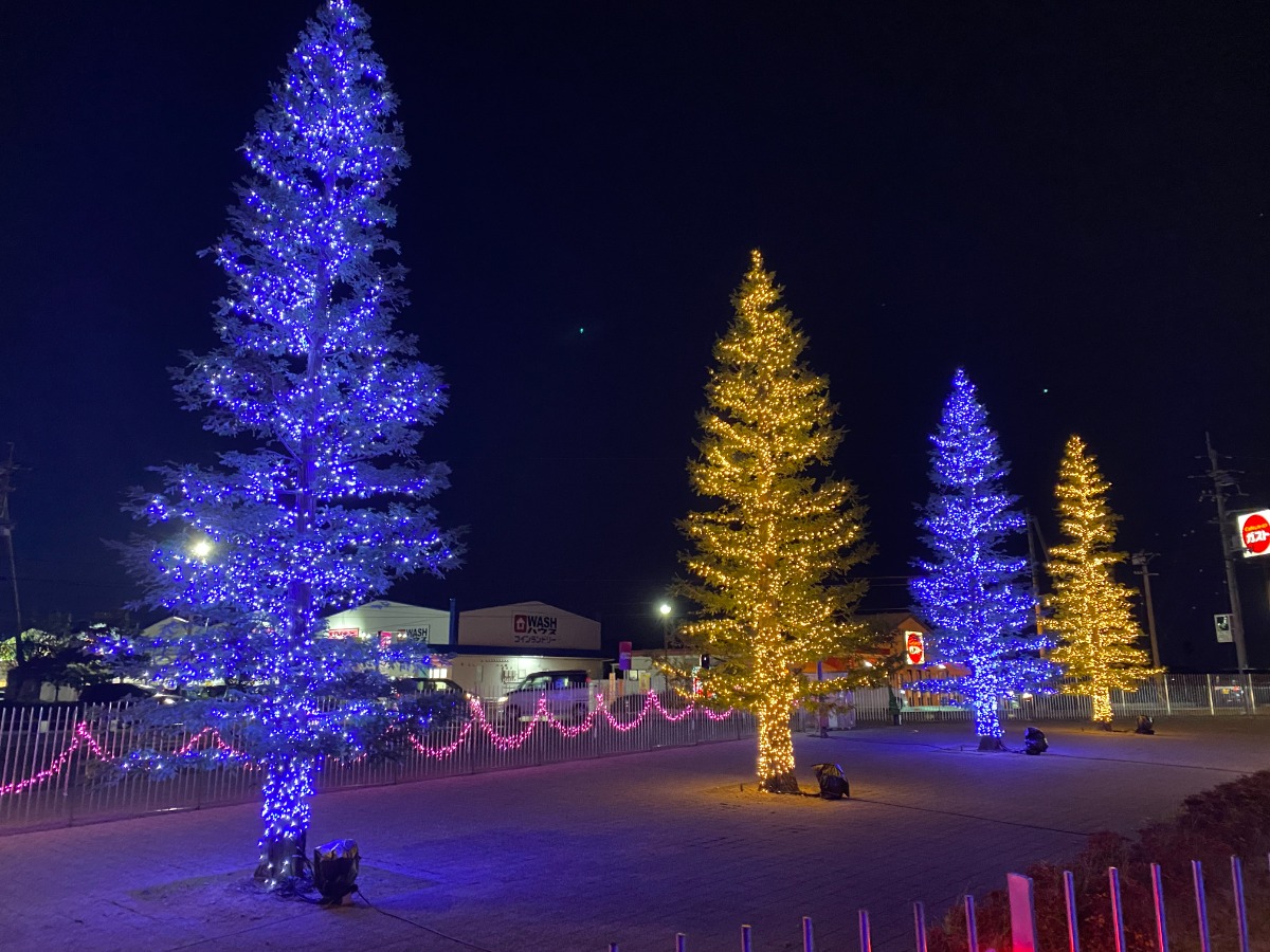 【徳島イベント情報2024】イルミネーション情報まとめ＆雰囲気たっぷりおすすめスポットも紹介！