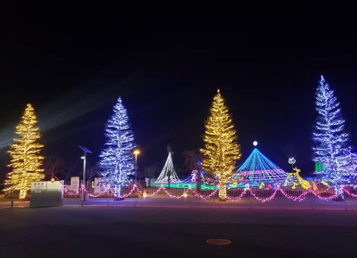 【徳島イベント情報2024】イルミネーション情報まとめ＆雰囲気たっぷりおすすめスポットも紹介！